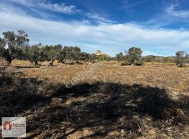 Borsem Datça - Kızlan'da 6122m2 Satılık Tarla