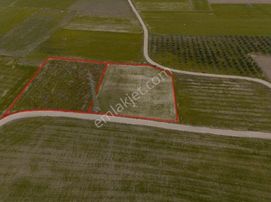 Aliağa Yalı Mahallesinde 5 Dönüm Satılık Tarla