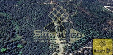 Edincik'de 1910 M² Satılık Zeytinlik