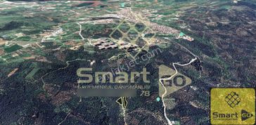 Edincik'de 1910 M² Satılık Zeytinlik