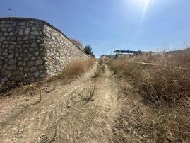 Cb Black'tan Mudanya Aydınpınar'da Muhteşem Konumda Zeytnlik