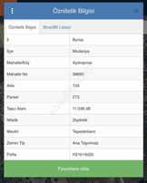 Cb Black'tan Mudanya Aydınpınar'da Muhteşem Konumda Zeytnlik