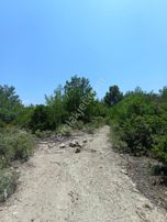 İzmir Karaburun Anbarseki'de 193 M2 Hisseli Tarla