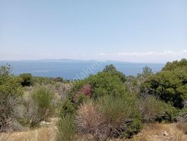 İzmir Karaburun Anbarseki'de 193 M2 Hisseli Tarla