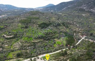 Karaburun Kösedere'de Asfalt Yola Cepheli Deniz Manzaralı Tarla