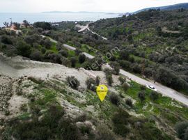 Karaburun Kösedere'de Asfalt Yola Cepheli Deniz Manzaralı Tarla