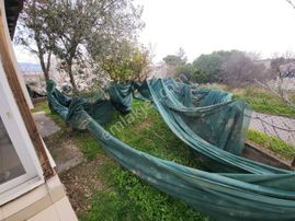 Mordoğan İskeleye 200m Mesafede Deniz Manzaralı Müstakl Kagir Ev