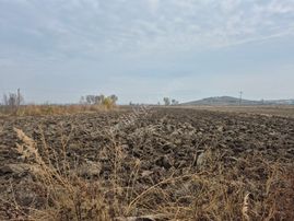 Erkan Anbar Dan Satılık Tarla Suluova