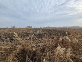 Erkan Anbar Dan Satılık Tarla Suluova