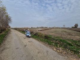 Erkan Anbar Dan Satılık Tarla Suluova Ayrancı