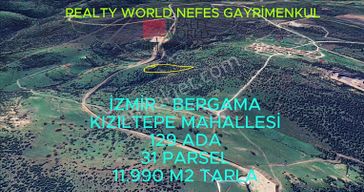 Realty World Nefes Gayrimenkul'den İzmir Bergama'da Fırsat Tarla