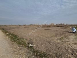 Erkan Anbar Dan Satılık Tarla Suluova