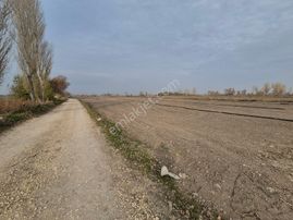 Erkan Anbar Dan Satılık Tarla Suluova