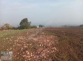 Yenisehir Osmaniye Mahallesinde