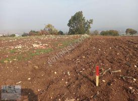 Yenisehir Osmaniye Mahallesinde