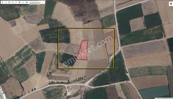 Afyon Üçok Emlaktan Çayırbağ / Ali Çetinkaya Da Satılık Fırsat 2.694m² Tarla