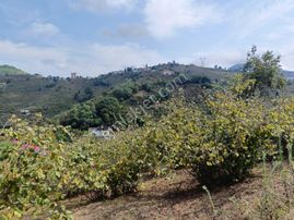 Uğurlu Da 2 Dönüm Yolu Açılmış Deniz Manzaralı Arazi