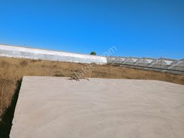 Vega Invest'ten Kepez Kızıllıda Yatırımlık Arazi