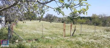 Kemalpaşa'da İmara Çok Yakın 2600 M2 Tarla
