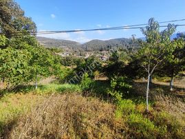 Realty Nexus'dan Osmangazi Karaislah 'da Yatırımlık Fırsat Tarla