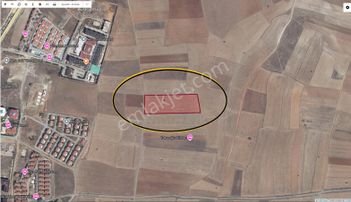 Afyon Üçok Emlaktan Gazlıgöl Yaylabağı Satılık 18.000m² Fırsat Tarla