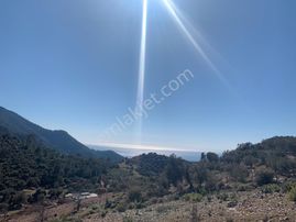 Goldhouse Dan Karaağaç Kirme De Satılık Deniz Manzaralı Tarla