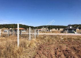 Altınışık'tan Satılık Yenice'de Tarla