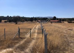 Altınışık'tan Satılık Yenice'de Tarla