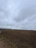 Ergene Bakırçada 2 Parça Satılık Tarla Fırsat Yatırımlık