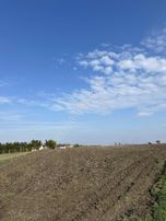 Saray Kadıköy İmarın Dibinde Fırsat Tarla