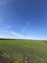 Ergene Esenler Köyü Yatırımlık Tarla