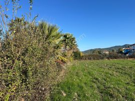 Dalyan Okçular Da 500 M2 Arsa Satılık