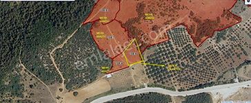 Asfalta 2. Parsel - Köye 1 Km. Mesafede - Etrafı Yanı Mera