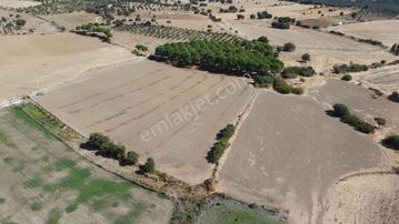 🟥aktiften Hisar'da 18572m2 Kadastrol Yola Cepheli Harika Konumda Satılık Tarla 🟥🟥