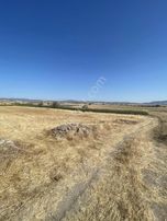 Balnova Dan Kepsut Hotoşlar Mah 4300 M2 Satılık Tarla