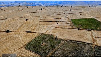 Balıkesir Şamlıda 3.250m² Yatırımlık Tarla