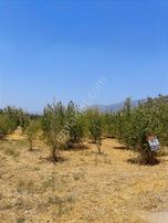 Kemalpaşa Aşağıkızılcada Harika Konumda Satılık Yatırımlık Arsa