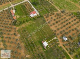 Torbalı'da 3 Kat %30 İmarlı Arsa Fırsatları