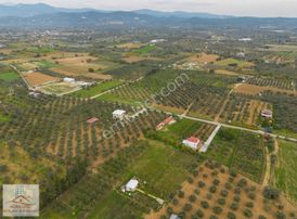 Torbalı'da 3 Kat %30 İmarlı Arsa Fırsatları