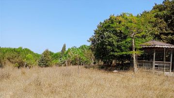 Pendik Kurnaköy Rezerv Alan Da Tek Parsel