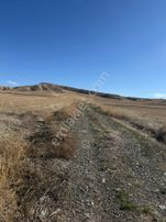 Denizli Bozkurt İnceler Yüksek M2 Uygun Fiyat....