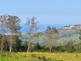 Atakum Çamlıyazı Full Deniz Manzaralı 1150 M2 Satılık Tarla