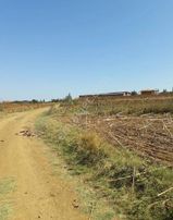 Tekirdağ Malkara Danişment'te Satılık Tarla Hissesi