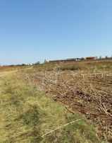 Tekirdağ Malkara Danişment'te Satılık Tarla Hissesi