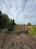 Ulukapıbölgesinde Yolu Olan Ev Yapmaya Uygun Taksim Şözkeşmeli 4650 M2