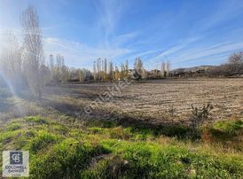 Güdül Güneyce Ayaş Yoluna Yakın Tek Tapu Fırsat Arsası