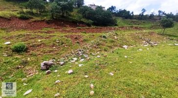 Cb Exper Den Tunceli De Arsa Avantajı