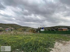 Didim'de Denize 300 Mtr Mesafe 333 M2 Arsa Köşebaşı