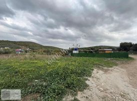 Didim'de Denize 300 Mtr Mesafe 333 M2 Arsa Köşebaşı