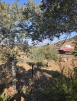 Nazilli Toygar Da Yatırım Fırsatı